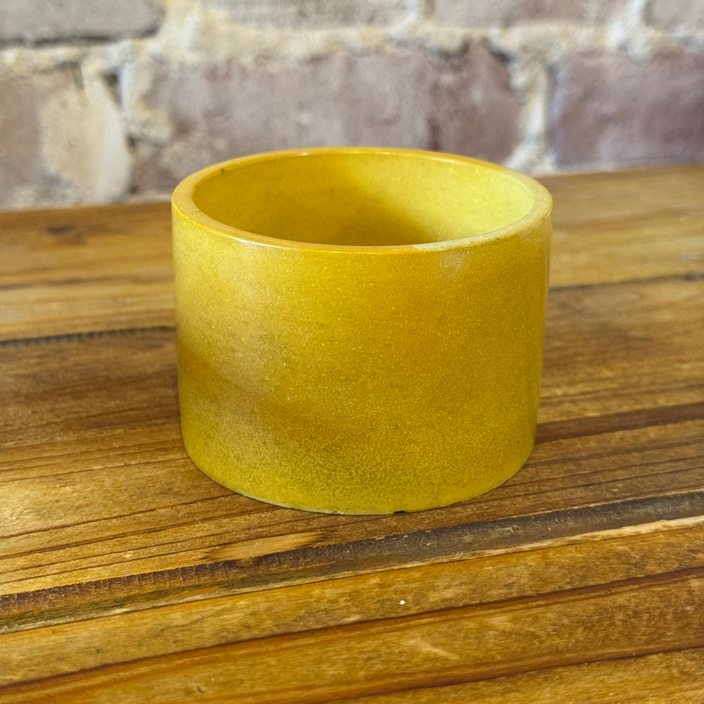 Stone & Stem Colored Cement Pots