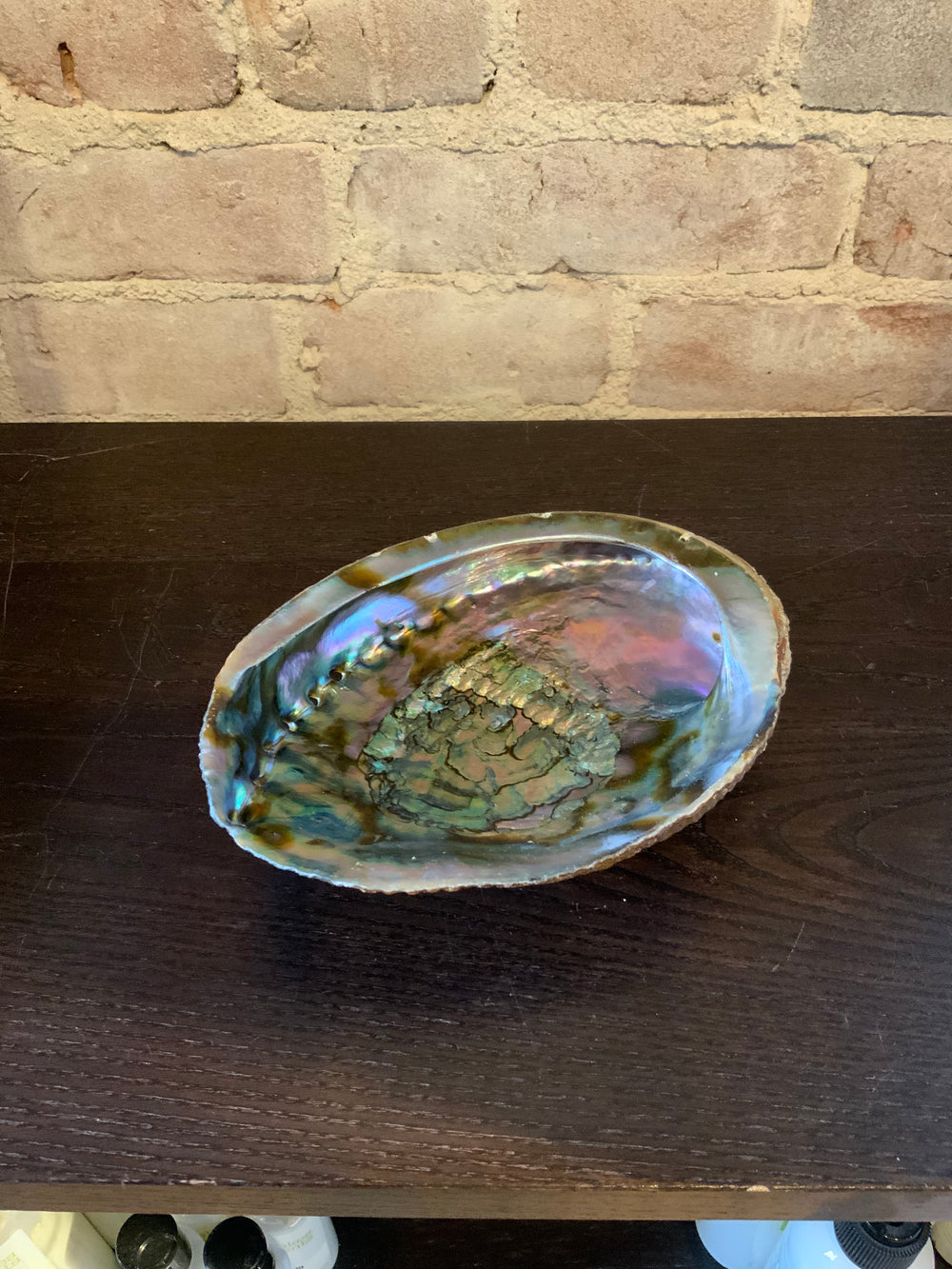 Abalone Shell Bowl