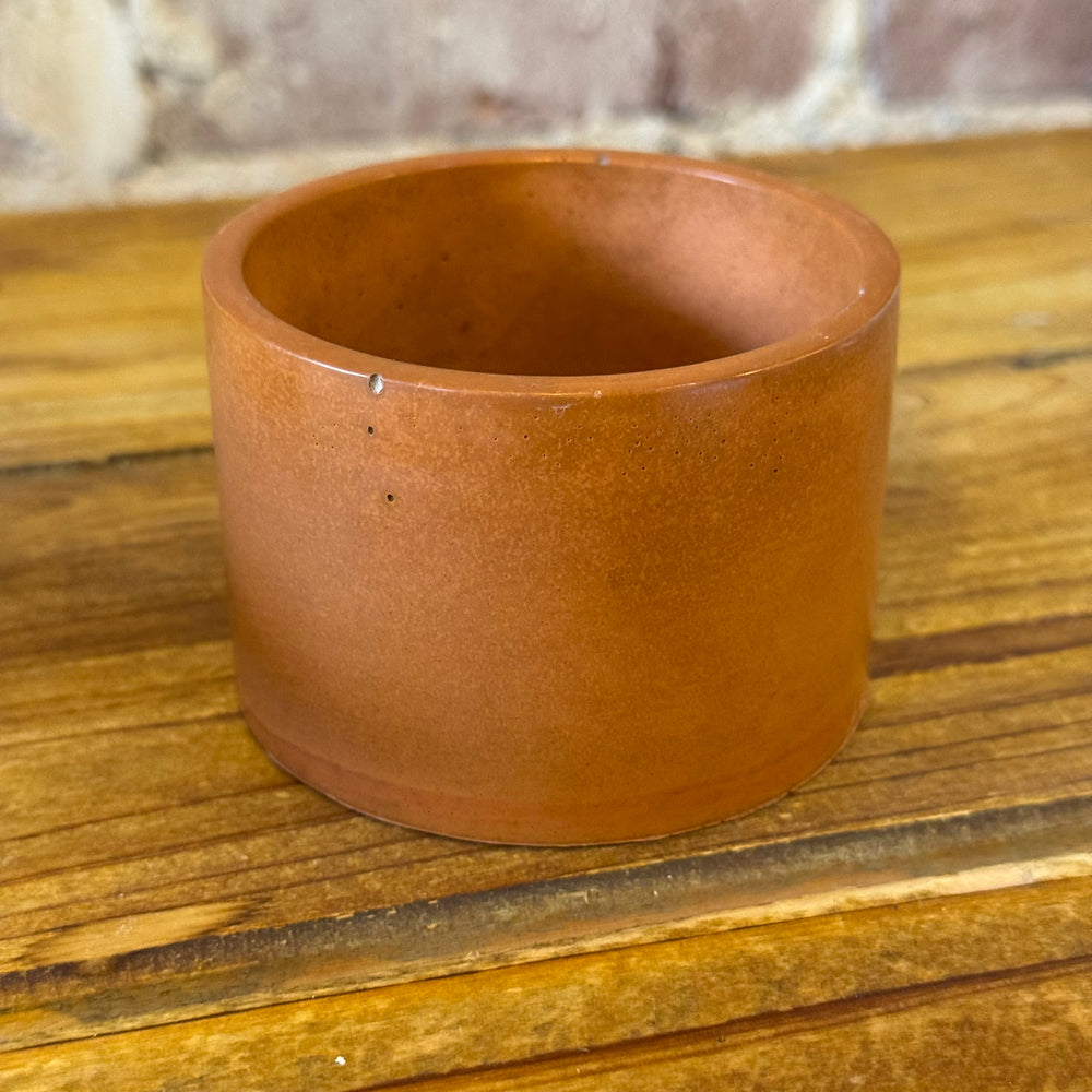 Stone & Stem Colored Cement Pots