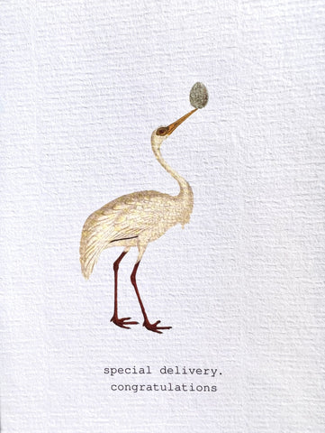 Special Delivery. Congratulations